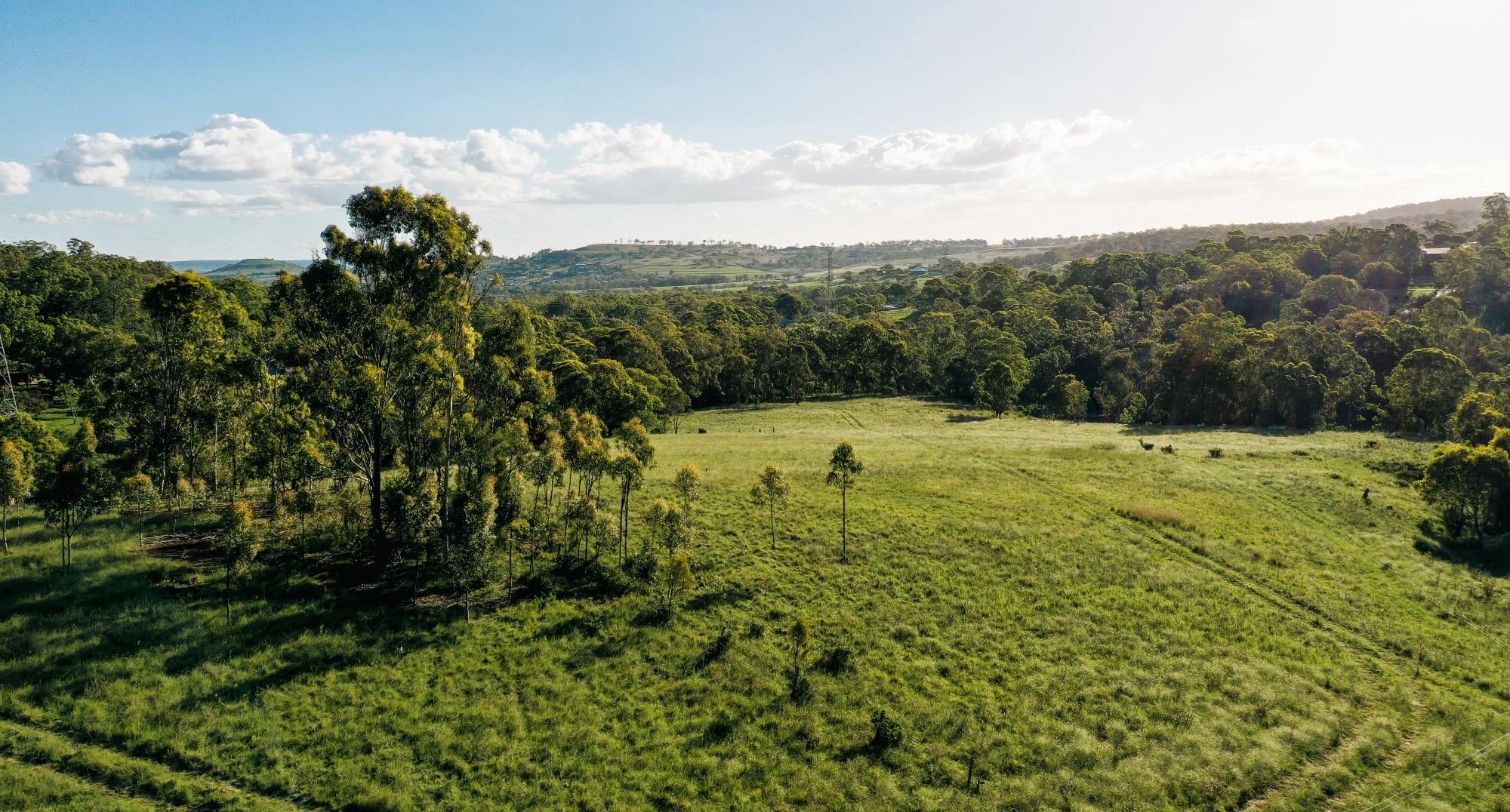 [Land for Sale] Willow Brae, Top Camp OpenLot